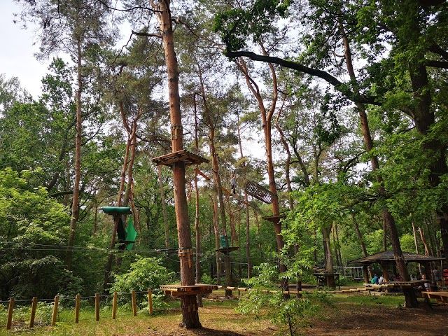 Kletterwald Wuhlheide